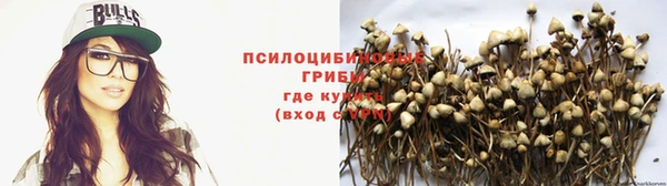 ешки Баксан