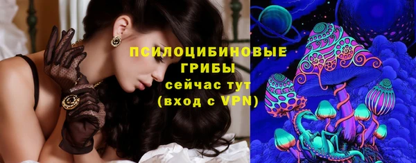 бошки Аркадак