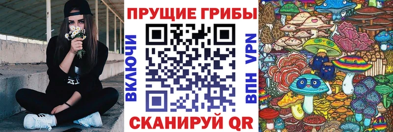 хочу   Сураж  Галлюциногенные грибы GOLDEN TEACHER 