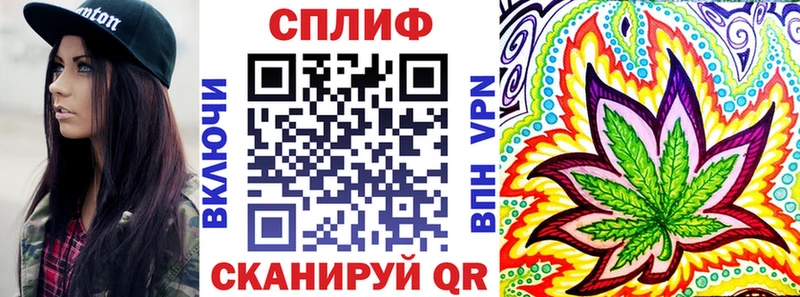 закладки  Сураж  МАРИХУАНА сатива 